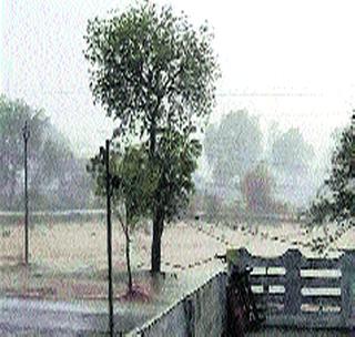 Heavy rain with overcast rain in Shiga | शेगावात वादळी वा-यासह जोरदार पाऊस