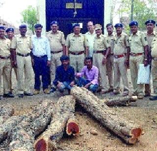 Chopped with tempered coconut tempo | चोरट्या खैरासह टेम्पो पकडला Chopped with tempered coconut tempo | चोरट्या खैरासह टेम्पो पकडला