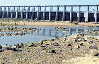 Water supply to Bayvanathidi? | बावनथडीचे पाणी दिलासा देणार? Water supply to Bayvanathidi? | बावनथडीचे पाणी दिलासा देणार?