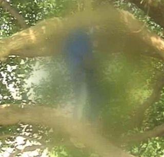 Delhi: Youth commits suicide in Parliament | दिल्ली : संसद परिसरात तरुणाची आत्महत्या Delhi: Youth commits suicide in Parliament | दिल्ली : संसद परिसरात तरुणाची आत्महत्या