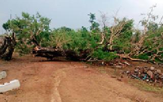 Lack of millions of losses due to incessant rains | अवकाळी पावसाने लाखोंची हानी