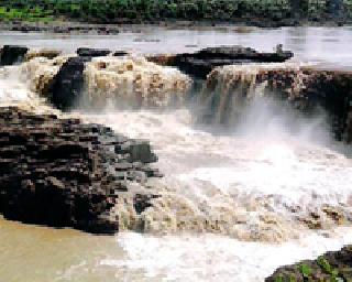 Ignore the tour of Penganga Wildlife Sanctuary | पैनगंगा अभयारण्याच्या पर्यटनाकडे दुर्लक्ष