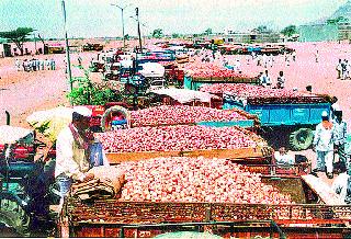 Organic Farmer Organization | कांदाप्रश्नी शेतकरी संघटना सरसावली Organic Farmer Organization | कांदाप्रश्नी शेतकरी संघटना सरसावली