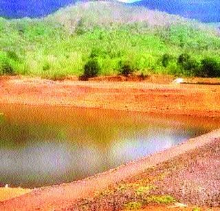 The base reached by percolation tanks | पाझर तलावांनी गाठला तळ