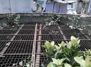 Ignored the drinking water sources in the city | शहरातील पेयजल स्रोत झाले दुर्लक्षित