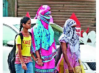 They jam | कडाक्याच्या उन्हाने शेतकामे ठप्प