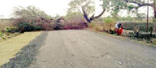 The tree fell on the road ... | रस्त्यावर झाड कोसळले... The tree fell on the road ... | रस्त्यावर झाड कोसळले...