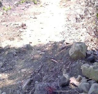 Lose on Katalpada road | काटेळपाडा रस्त्याला खो Lose on Katalpada road | काटेळपाडा रस्त्याला खो