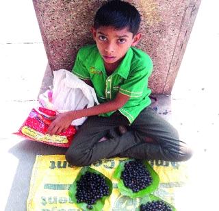 Gavaran fruits to mark tourists in Bordi | बोर्डीमध्ये पर्यटकांना खुणावतात गावरान फळे Gavaran fruits to mark tourists in Bordi | बोर्डीमध्ये पर्यटकांना खुणावतात गावरान फळे