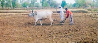 From the dawn starts the farm work | पहाटेपासूनच सुरू होतात शेतीची कामे From the dawn starts the farm work | पहाटेपासूनच सुरू होतात शेतीची कामे