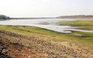 The thunderstorm reached the Dhangarong dam ... | डोंगरगाव धरणाने गाठला तळ... The thunderstorm reached the Dhangarong dam ... | डोंगरगाव धरणाने गाठला तळ...