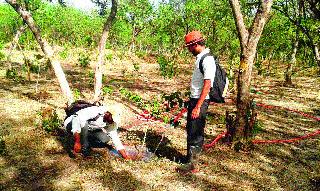 Water in 11 hours for 10 hours | दहा तासांत ११ हजार झाडांना पाणी