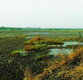 10 thousand farmers want compensation | १० हजार शेतकऱ्यांना हवी नुकसानभरपाई