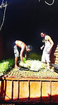 Sahyadri ran to wipe the tears of drought-stricken farmers | दुष्काळग्रस्तांचे अश्रू पुसण्यासाठी सह्याद्री धावला