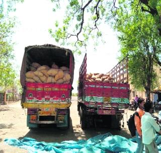 Amarnath Tire stolen bing, along with the case of Mahabeej seed theft! | महाबीज बियाणे चोरी प्रकरणासोबतच अमरावतीच्या टायर चोरीचे बिंगही फुटले ! Amarnath Tire stolen bing, along with the case of Mahabeej seed theft! | महाबीज बियाणे चोरी प्रकरणासोबतच अमरावतीच्या टायर चोरीचे बिंगही फुटले !