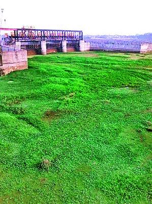 Nanduramharmhwar: 16 village water supply scheme closed | नांदूरमधमेश्वर : १६ गाव पाणीपुरवठा योजना बंद