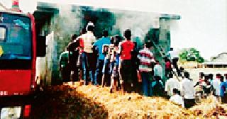 Four animals flutter in the fire | आगीत चार जनावरे होरपळली Four animals flutter in the fire | आगीत चार जनावरे होरपळली