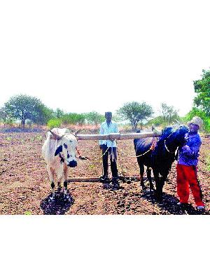Farmers' meetings for planning kharif season | खरीप हंगाम नियोजनासाठी शेतकऱ्यांची लगबग