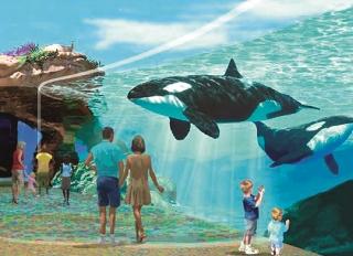 Holder positive for 'C-World' | ‘सी-वर्ल्ड’ साठी जमीनधारक सकारात्मक Holder positive for 'C-World' | ‘सी-वर्ल्ड’ साठी जमीनधारक सकारात्मक