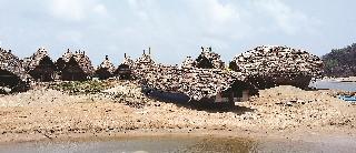 Vengurlee's buses stayed in the harbor | वेंगुर्लेच्या बोटी बंदरात विसावल्या Vengurlee's buses stayed in the harbor | वेंगुर्लेच्या बोटी बंदरात विसावल्या