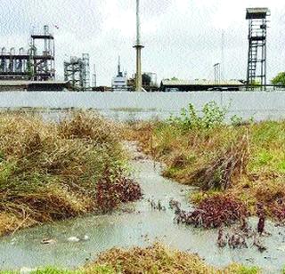 The effluent of 'Ipca' directly in the Nallah | ‘इप्का’चे सांडपाणी थेट नाल्यात
