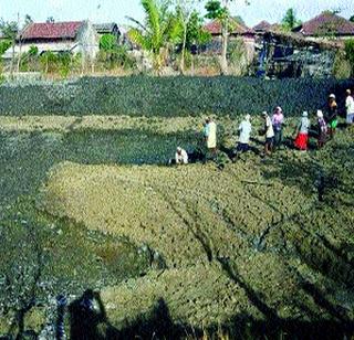 Fish farming | शेती व्यवसायाला मच्छीपालनाची जोड Fish farming | शेती व्यवसायाला मच्छीपालनाची जोड