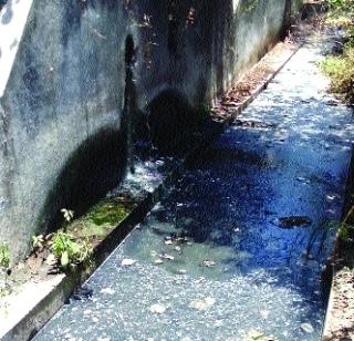 Polluted water flows | प्रदूषित पाणी वाहतच आहे Polluted water flows | प्रदूषित पाणी वाहतच आहे