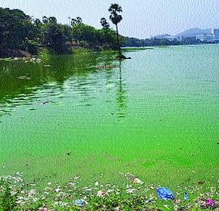 Wastewater in Powai lake | पवई तलावात सांडपाणी Wastewater in Powai lake | पवई तलावात सांडपाणी