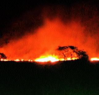 The number of dead in Pulgaon blast was eighteen | पुलगाव स्फोटातील मृतांची संख्या अठरा The number of dead in Pulgaon blast was eighteen | पुलगाव स्फोटातील मृतांची संख्या अठरा