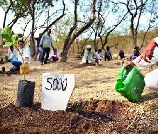 Five lakhs of help for Nashikar | नाशिककरांची पाच लाखांची मदत Five lakhs of help for Nashikar | नाशिककरांची पाच लाखांची मदत