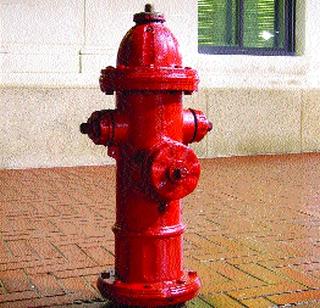 Jalkhamb is buried in the concrete forest | काँक्रिटच्या जंगलात गाडले जलखांब