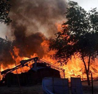 Ramwarksha Yadav, the main accused in Mathura violence, died | मथुरा हिंसाचारातील मुख्य आरोपी रामवृक्ष यादव ठार Ramwarksha Yadav, the main accused in Mathura violence, died | मथुरा हिंसाचारातील मुख्य आरोपी रामवृक्ष यादव ठार