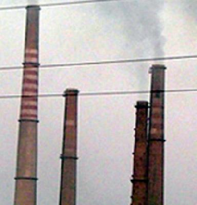 Rise of the living environment! | माणूस उठला पर्यावरणाच्या जीवावर !