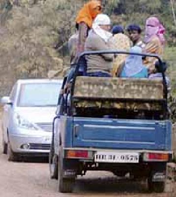 Jungle safaris get enchantment | जंगल सफारीचा मोह वाढला