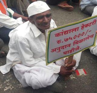 Nashik - Stop the way for farmers to increase onion prices | नाशिक - कांदा भाववाढीसाठी शेतक-यांचा रास्ता रोको Nashik - Stop the way for farmers to increase onion prices | नाशिक - कांदा भाववाढीसाठी शेतक-यांचा रास्ता रोको