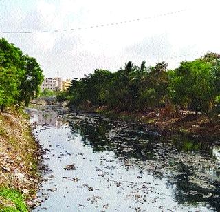 Nalaseefa fired offloaded | नालेसफाईचा उडाला बोजवारा