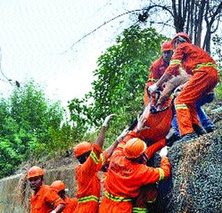 Many animal survivors saved by Rapid Action Van | रॅपिड अ‍ॅक्शन व्हॅनने वाचवले अनेकांचे जीव