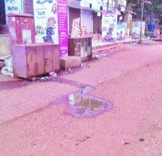 Matheran's main road garbage! | माथेरानच्या मुख्य रस्त्यावर कचरा!