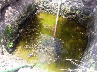 Damages of farmers due to contaminated water | दूषित पाण्यामुळे शेतकऱ्यांचे नुकसान Damages of farmers due to contaminated water | दूषित पाण्यामुळे शेतकऱ्यांचे नुकसान