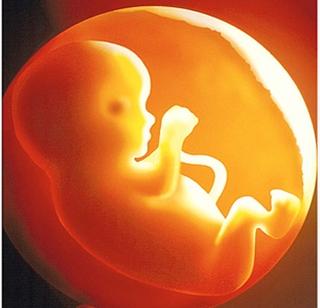 Pregnancy death due to whipping treatment | भोंदूच्या उपचारांमुळे गर्भवतीचा मृत्यू Pregnancy death due to whipping treatment | भोंदूच्या उपचारांमुळे गर्भवतीचा मृत्यू