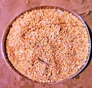 Pest, pest, wood, stones! | स्वस्त धान्यात कीड,लाकूड, दगडही! Pest, pest, wood, stones! | स्वस्त धान्यात कीड,लाकूड, दगडही!