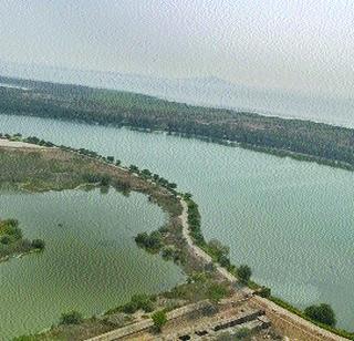 Engineers Plant | अभियंत्यांची झाडाझडती Engineers Plant | अभियंत्यांची झाडाझडती