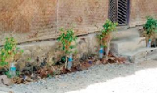 Irrigation through bottle ... | बाटलीद्वारे सिंचन... Irrigation through bottle ... | बाटलीद्वारे सिंचन...
