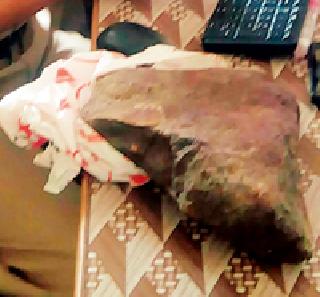 Small brother's bloodless murder through farming dispute | शेतीच्या वादातून लहान भावाचा निर्घृण खून Small brother's bloodless murder through farming dispute | शेतीच्या वादातून लहान भावाचा निर्घृण खून