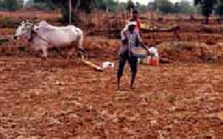 Late monsoon; Sowing affected | मान्सूनला उशीर; पेरणी प्रभावित