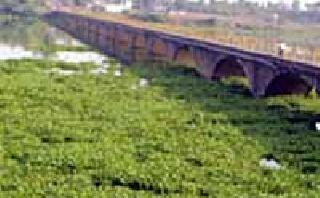 'Neeri' initiative for the release of Vainganga pollution | वैनगंगा प्रदूषण मुक्तीसाठी ‘नीरी’चा पुढाकार 'Neeri' initiative for the release of Vainganga pollution | वैनगंगा प्रदूषण मुक्तीसाठी ‘नीरी’चा पुढाकार