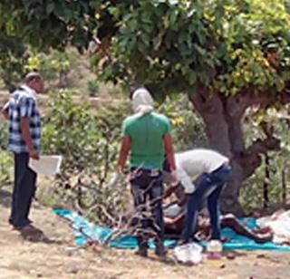 Here the doctor is on open an autopsy | इथे डॉक्टर उघडयावर करतात शवविच्छेदन Here the doctor is on open an autopsy | इथे डॉक्टर उघडयावर करतात शवविच्छेदन