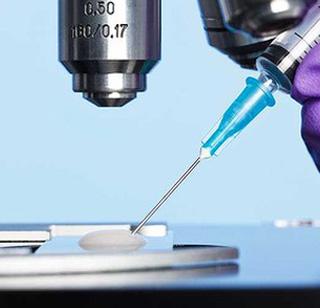 The country needs your sperm, appeals to Chinese youth | देशाला तुमच्या स्पर्मची गरज, चीनचे तरुणांना आवाहन The country needs your sperm, appeals to Chinese youth | देशाला तुमच्या स्पर्मची गरज, चीनचे तरुणांना आवाहन