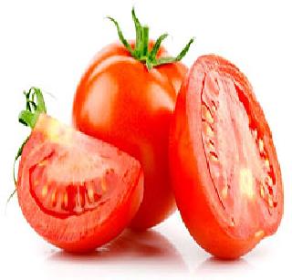 Tomatoes reduced by Rs 100 per kg in the coming year. | आवक घटल्याने टोमॅटो १०० रुपये किलो! Tomatoes reduced by Rs 100 per kg in the coming year. | आवक घटल्याने टोमॅटो १०० रुपये किलो!