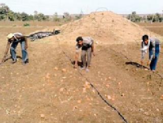 Monsoon longed, anxiety grew | मान्सून लांबला, चिंता वाढली Monsoon longed, anxiety grew | मान्सून लांबला, चिंता वाढली